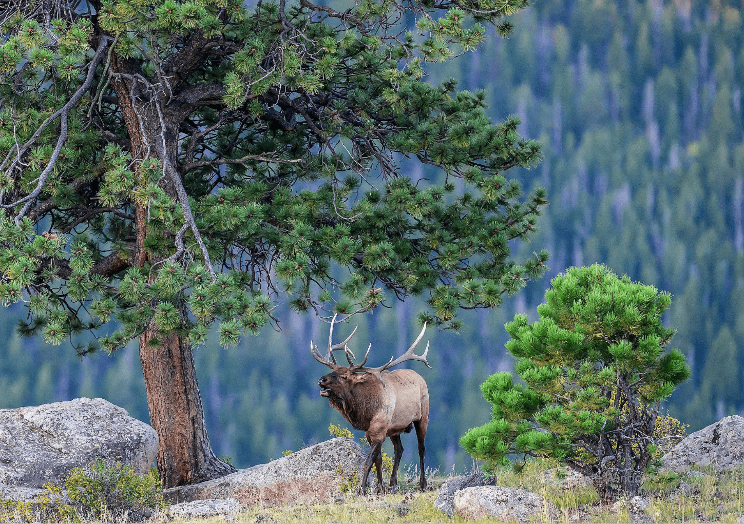 Premium executive retreat and agro-tourism experience at HarmoniaFields Ranch